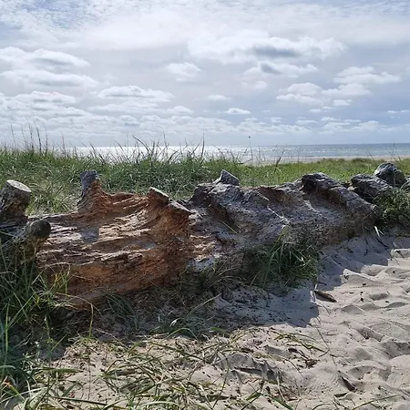 6 Person In Blavand-by Traum * Blåvand