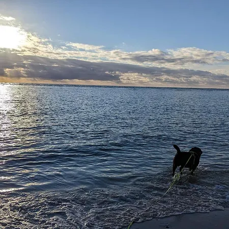 6 Person In Blavand-by Traum